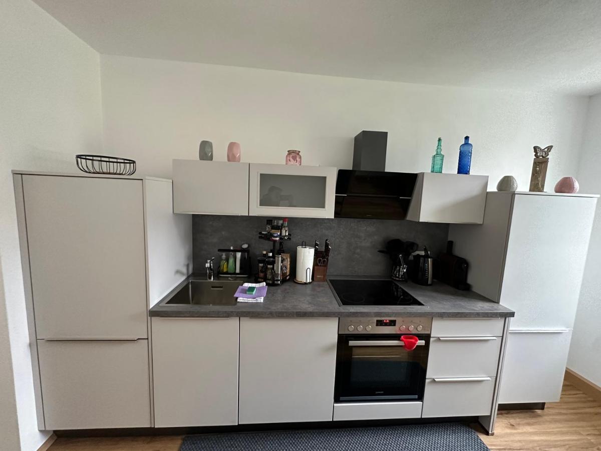Apartment Traunkai