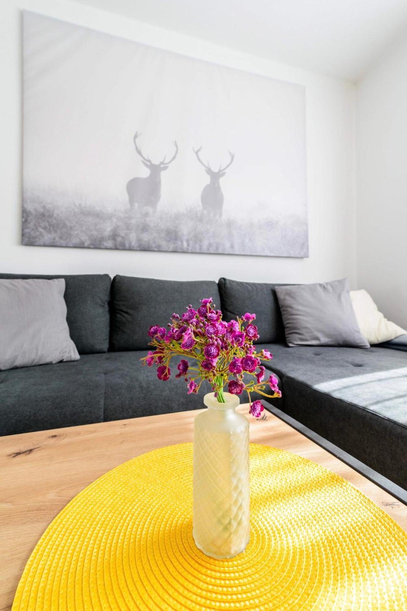 Apartment Traunkai *
